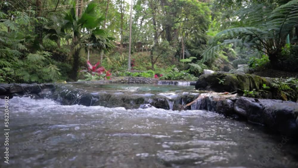 river in the forest bato spring laguna philippines river in the forest bato spring laguna philippines