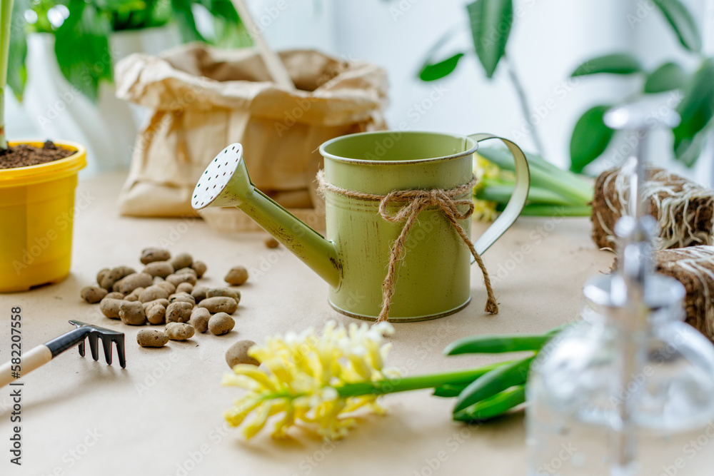 Fototapeta premium Gardening tools and flowers on the table. Spring concept.