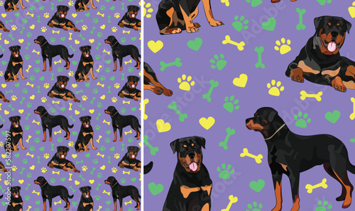 Rottweiler dogs on a playful violet background with bones, hearts, paws. Funky, colorful vibe, vibrant palette. Simple, clean, modern texture. Summer seamless pattern with dogs. Birthday present.