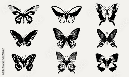 set of butterflies © Aakhra