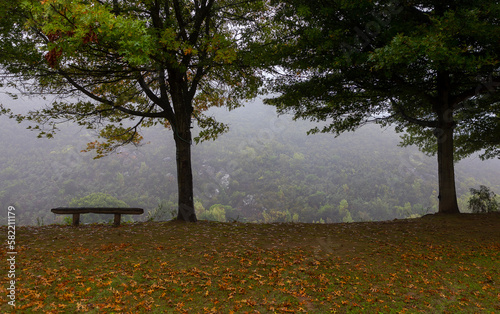 Obraz na płótnie bench in autumn with tress and orange leaves w salonie