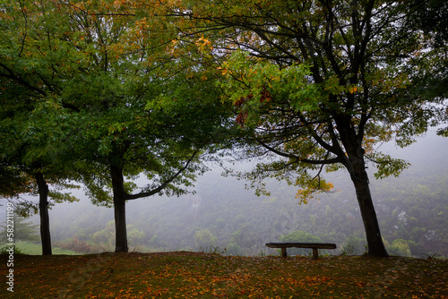 Obraz na płótnie bench in autumn with orange leaves w salonie