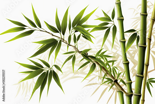 Bamboo realistic and  white background  Generative AI  