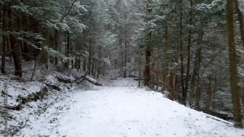 Wallpaper Mural Drone shot of upstate New York woods covered in a thin layer of snow during the cold winter Torontodigital.ca