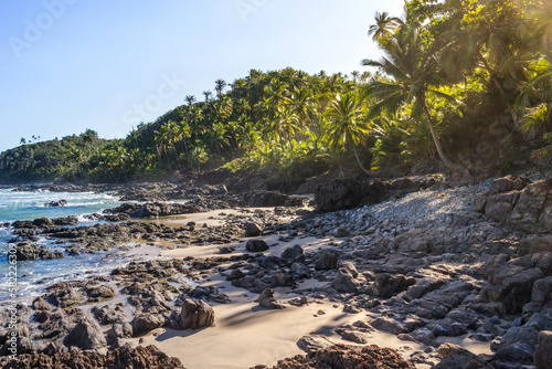 sand, tree and rocks on the beach and sea with a blue sky with warm sun and godrays