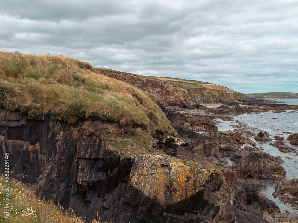 Picturesque Irish seaside landscape. Wild vegetation grows on stony soil. Cloudy sky over the ocean coast. Views on the wild Atlantic way, hills under clouds.