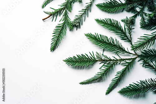 Christmas tree branches decorated on white background. - Holiday season  festive celebration  winter.