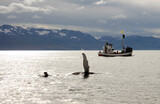 Barco con turistas observando ballenas en Islandia