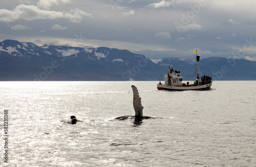 Barco con turistas observando ballenas en Islandia