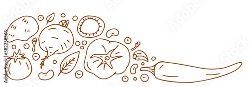 Spices and vegetables background. Sketch design. Banner. Perfect for design recipe, menu, delivery, packaging.