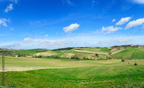 Country landscape  green hills