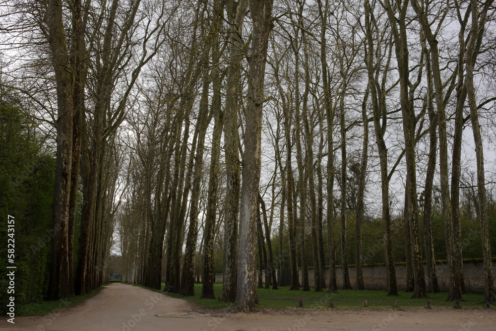 Naklejka premium Statues, fountains and Parterre - Gardens of the Palace of Versailles - Versailles - Yvelines - France