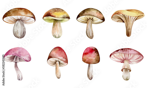 Watercolor set of illustrations forest mushrooms. Children's illustration isolated on white background cartoon mushrooms.Hand-drawn for print poster, book, poster.