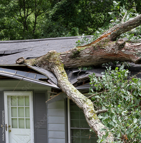 Canvas-taulu Big Tree Tears House Roof Assunder During a Storm
