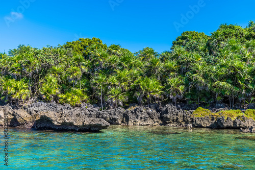 A view of the rocky shoreline adjacent to West Bay on Roatan Island on a sunny day