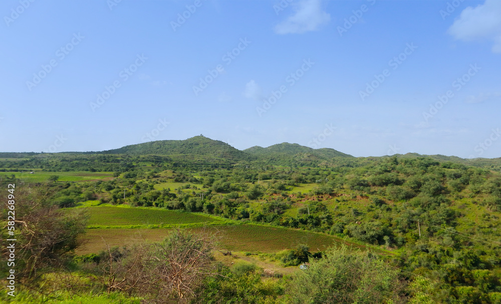 This image was captured near Junagadh Gir Forest in monsun time at Gir National Park and Sanctuary Gujarat India. clear sky in mountain, green grass and green farmland beautiful countryside landscape 