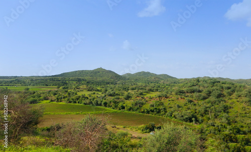 This image was captured near Junagadh Gir Forest in monsun time at Gir National Park and Sanctuary Gujarat India. clear sky in mountain, green grass and green farmland beautiful countryside landscape  photo
