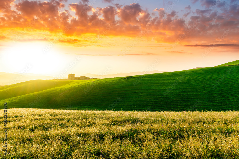 Fototapeta premium beautiful sunset or sunrise in rural countryside green hills with farm and mountains on background