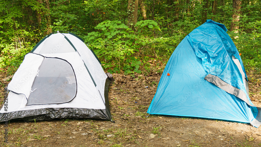 Camping tents lined up in camping area on forest background.