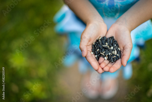Young girl holding sunflower seeds in palm of her hands