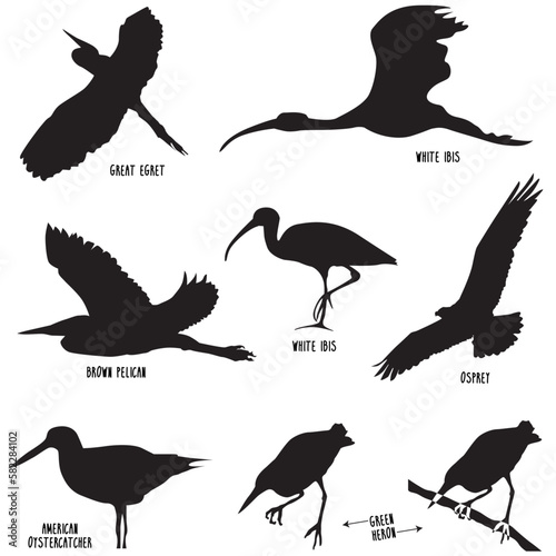 Common waterbird silhouettes found near saltwater.
