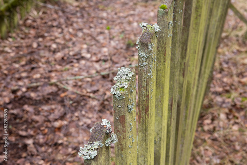 An old, mossy fence on an autumn day among old buildings. Spring.