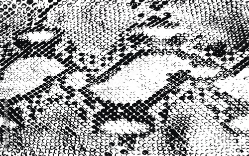 Snake print Vector Illustration, SVG