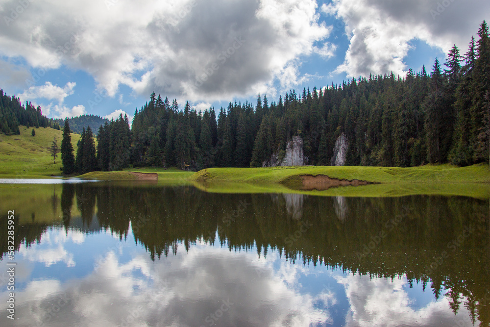 Fototapeta premium Rolling hills of grass, evergreen tree forests, and scenic lakes in Cluj, Romania.