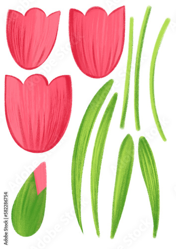 red tulips hand grawn set for card, invitation, decoration ext. On transparent background photo