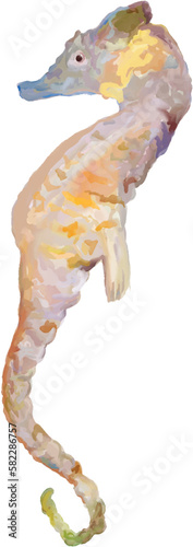 Colorful vector illustration of dwarf seahorse.