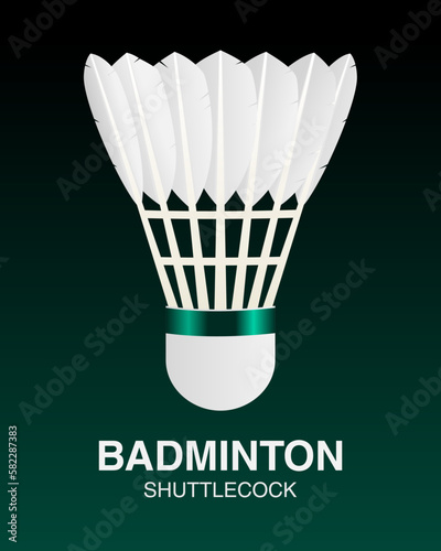 Badminton shuttlecock vector illustration 