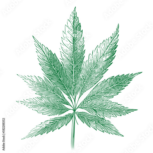Marijuana leaf sketch hand drawn in doodle style Vector illustration Simbol