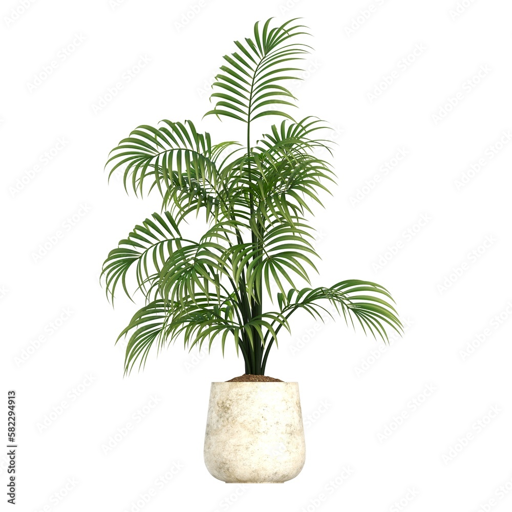 decorative flowers and plants for the interior, isolated on white background, 3D illustration, cg render