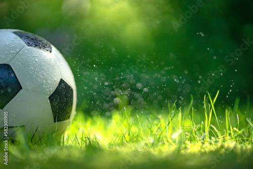 A rubber soccer ball on the green grass.The poster for the football tournament. Outdoor tournament. © Svetliy