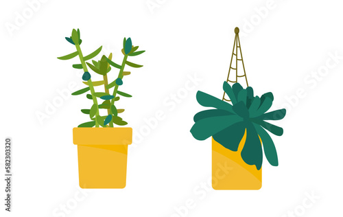 Set of house plants. Interior Scandinavian design. Design element. Vector illustration