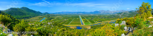 agricultured fields, famous valley of mandarine in Pizinovac, Neretva river, near Ploce, Dalmatia, Croatia, Europe... exclusive - this image is sold only on adobestock