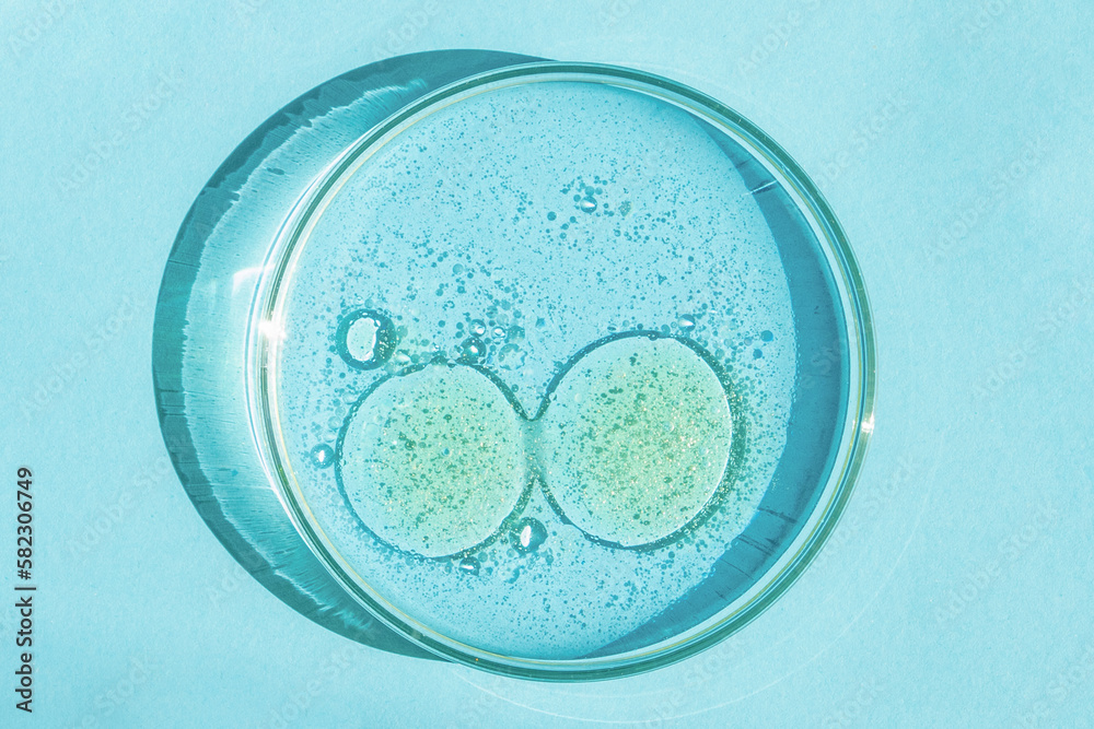 Petri dish. Petri's cup with liquid. Chemical elements, oil, cosmetics. Gel, water, molecules, viruses. Close-up. On a blue background. Petri dish. Petri's cup with liquid. Chemical elements, oil, cosmetics. Gel, water, molecules, viruses. Close-up. On a blue background.