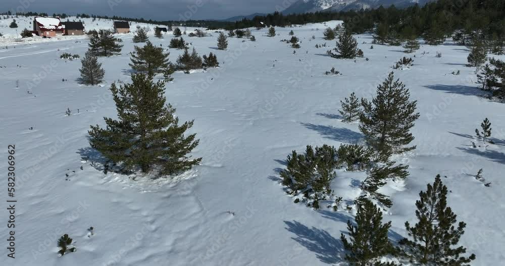Aerial, drone shot over leafless trees, above a snowy mountain and beautiful snowy mountain peaks. Winter wilderness, on a sunny day. Aerial, drone shot over leafless trees, above a snowy mountain and beautiful snowy mountain peaks. Winter wilderness, on a sunny day.