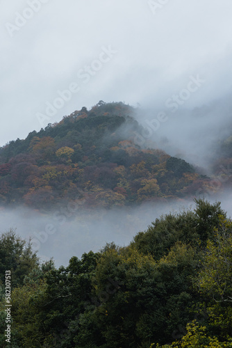 日本　京都府京都市にある天龍寺の曹源池庭園の紅葉と雨で霞がかった嵐山