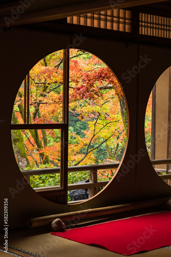 日本 京都府京都市の嵯峨嵐山にある祐斎亭の丸窓の部屋の窓から見える雨に濡れた紅葉