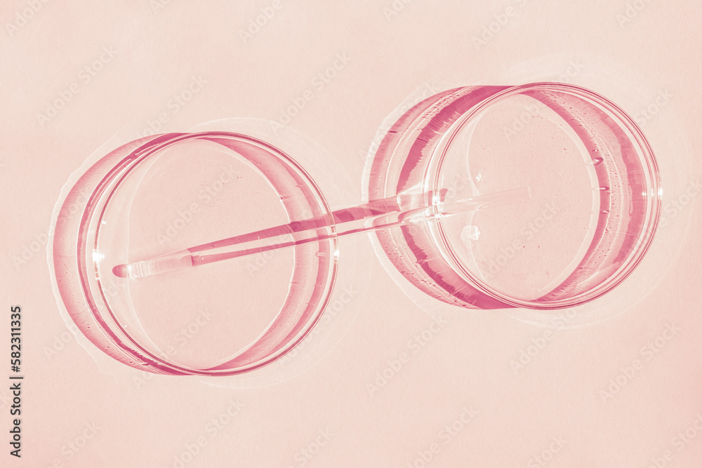 Fototapeta premium Petri dish. A set of Petri cups. A pipette, glass tube. On a pink background.