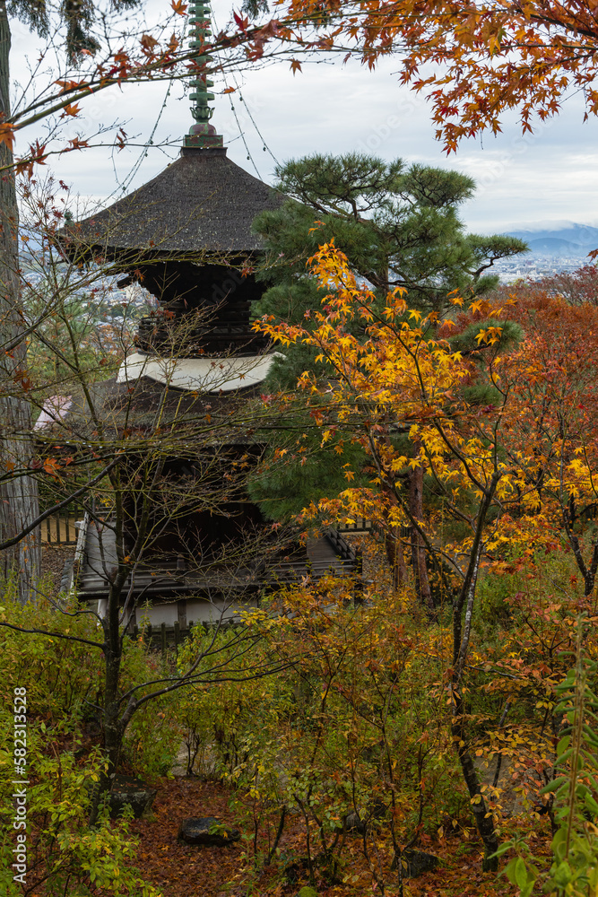 日本 京都府京都市の嵯峨嵐山にある常寂光寺の多宝塔と雨に濡れた紅葉 日本 京都府京都市の嵯峨嵐山にある常寂光寺の多宝塔と雨に濡れた紅葉