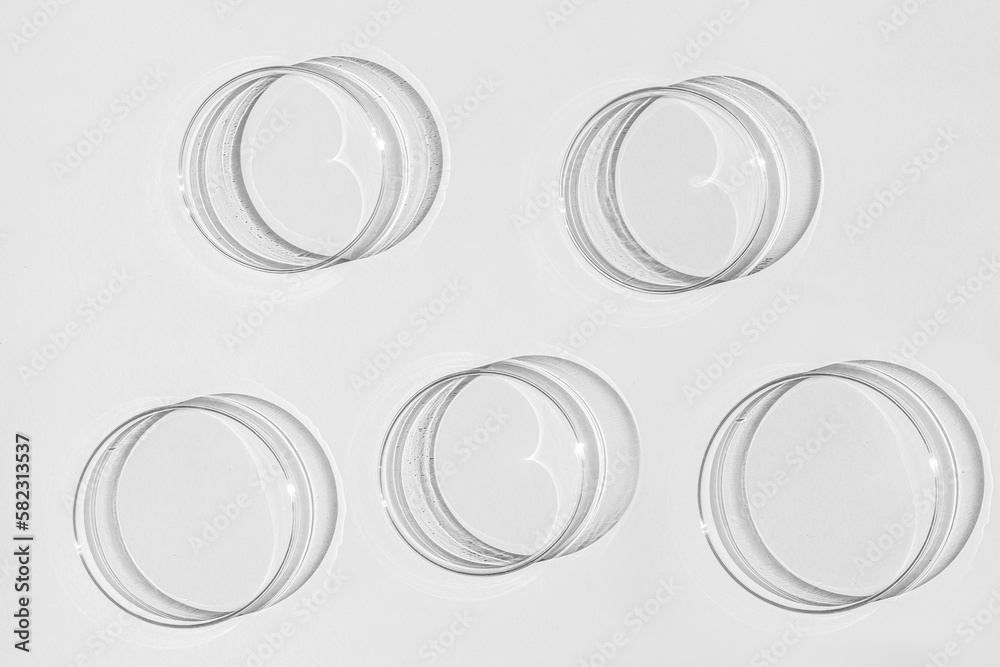 Petri dish. A set of Petri cups. On a white background. Laboratory half. Petri dish. A set of Petri cups. On a white background. Laboratory half.