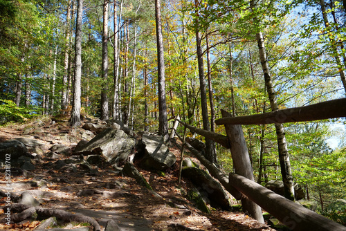 Dovbush path - route through wooded mountain slopes near Yaremche, Ukraine