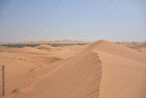 Foto Dünen in Wüste mit Oase, saftig grüne Palmen und frisches Wasser in der nähe von