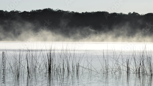 Morning fog at a lake on Fraser Island, Queensland Australia