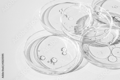 Petri dish. Petri cups with liquid. Kit. Chemical elements, oil, cosmetics. Gel, water, molecules, viruses. Close-up. On a white background.