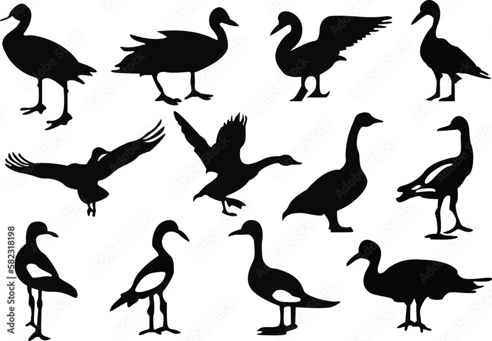 Fototapeta premium Set of goose silhouettes. A set of goose silhouette vector illustrations.
