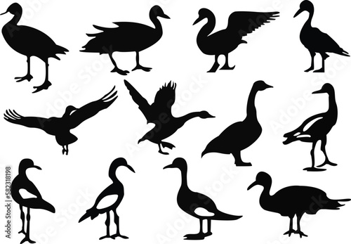 Set of goose silhouettes. A set of goose silhouette vector illustrations.