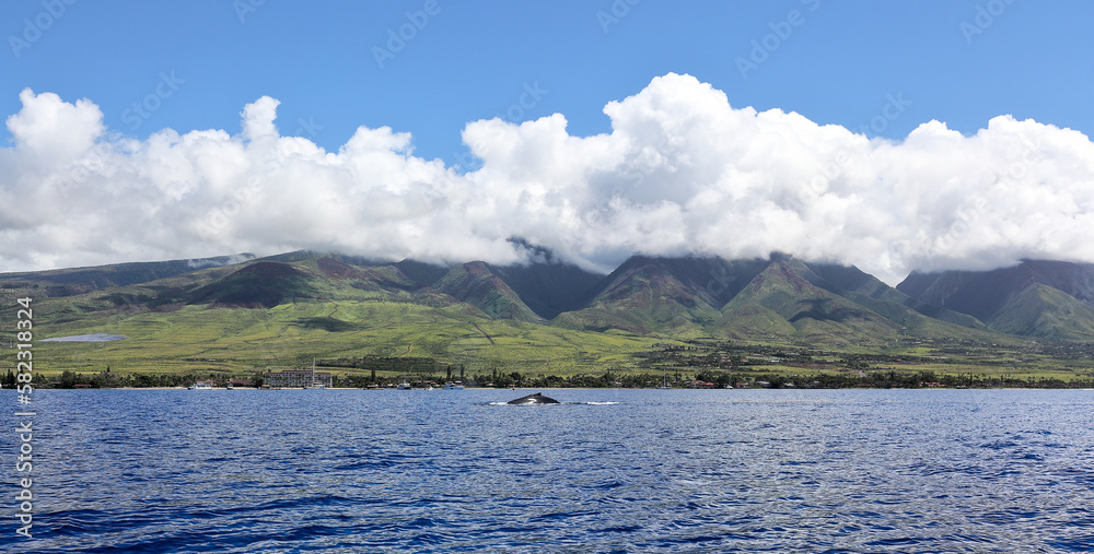 Maui Island Panorama with Humpback Whale	